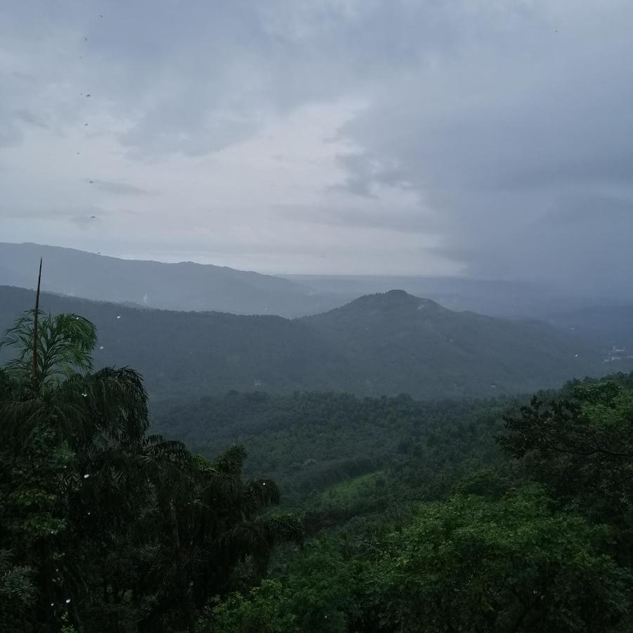 Stone Hills Hotel Kannur Buitenkant foto